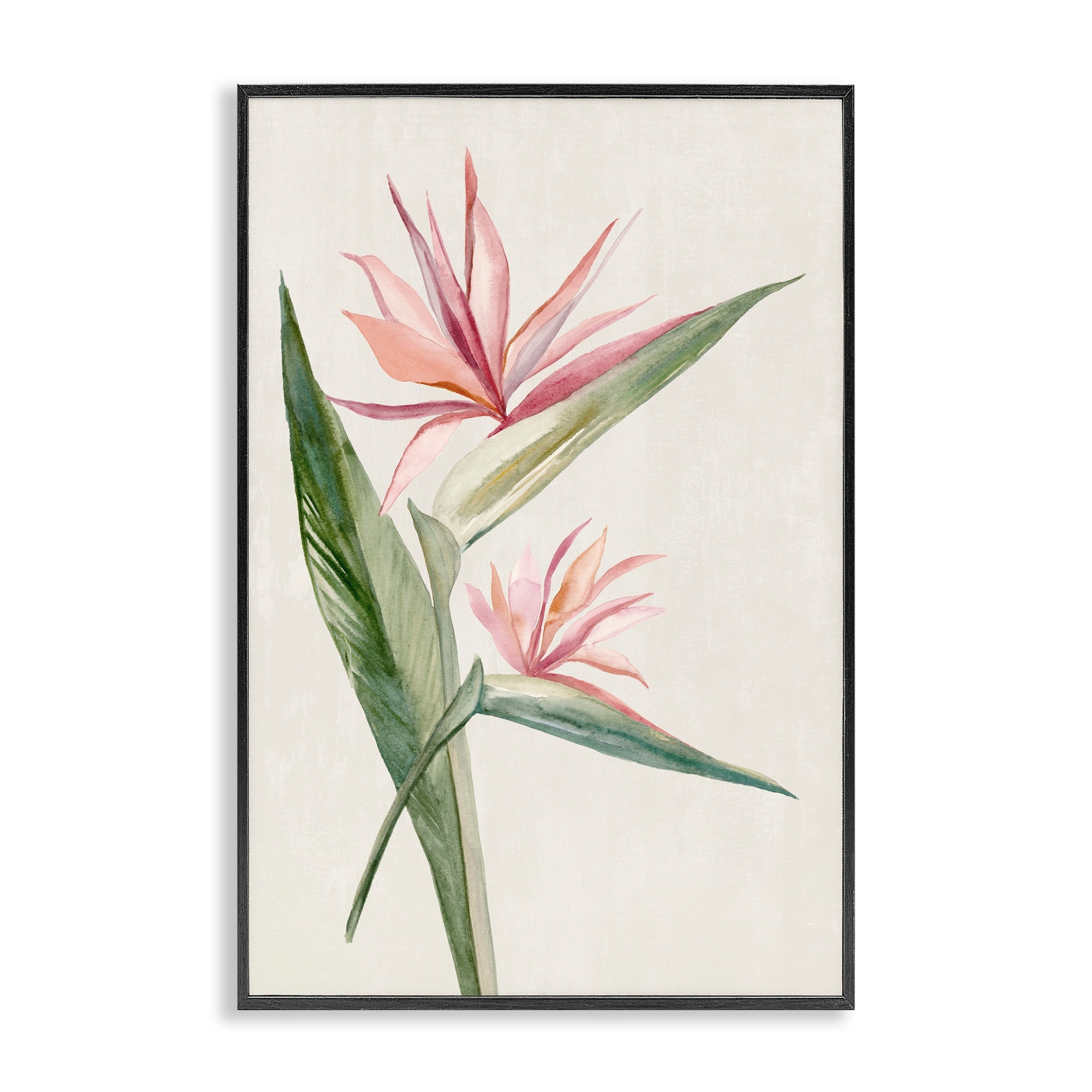 Stupell Tropical Grace Birds of Paradise Framed Giclee Art Design By Hannah Dawson