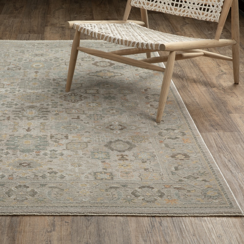 Kellan Global Floral Beige/ Blue Area Rug