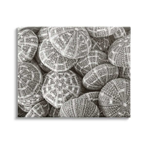 slide 2 of 10, Stupell Pewter Sea Urchins Photography Canvas Wall Art Design by Graffi*Tee Studios 20 x 16