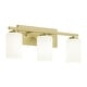 preview thumbnail 4 of 14, AFX Leo Vanity Light - Clear Glass Shade Light Antique Brass - 22"