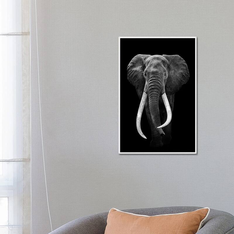 iCanvas "Elephant Black And White" by Adrian Vieriu Framed