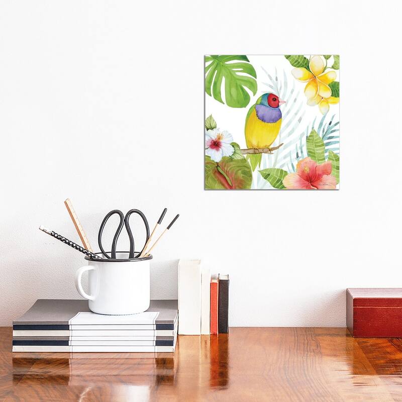 iCanvas "Treasures Of The Tropics V" by Kathleen Parr McKenna Canvas Print - 12x12x1.5
