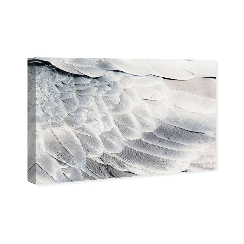 Wynwood Studio Canvas Animals Dove Back Gray and Silver Modern & Contemporary Wall Art Canvas Print
