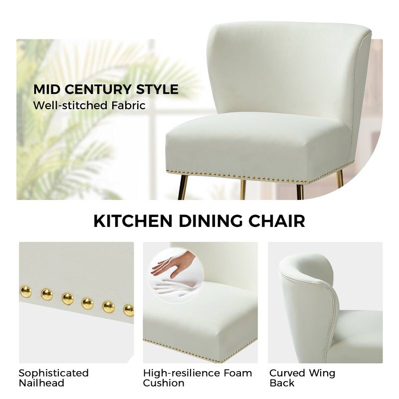 Celtia Modern Velvet Accent Side Chair with Nailhead Trim by HULALA HOME