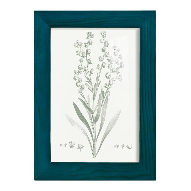 Botanical Study in Sage I -Framed Print w/glass-Cherry Red