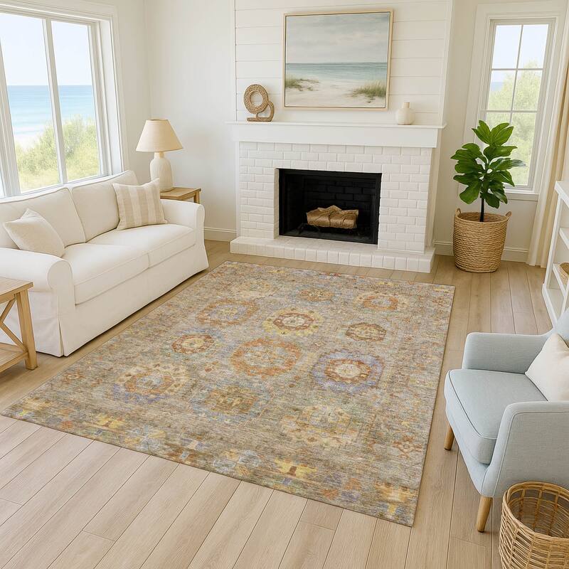 Machine Washable Indoor/ Outdoor Vintage Traditional Chantille Rug