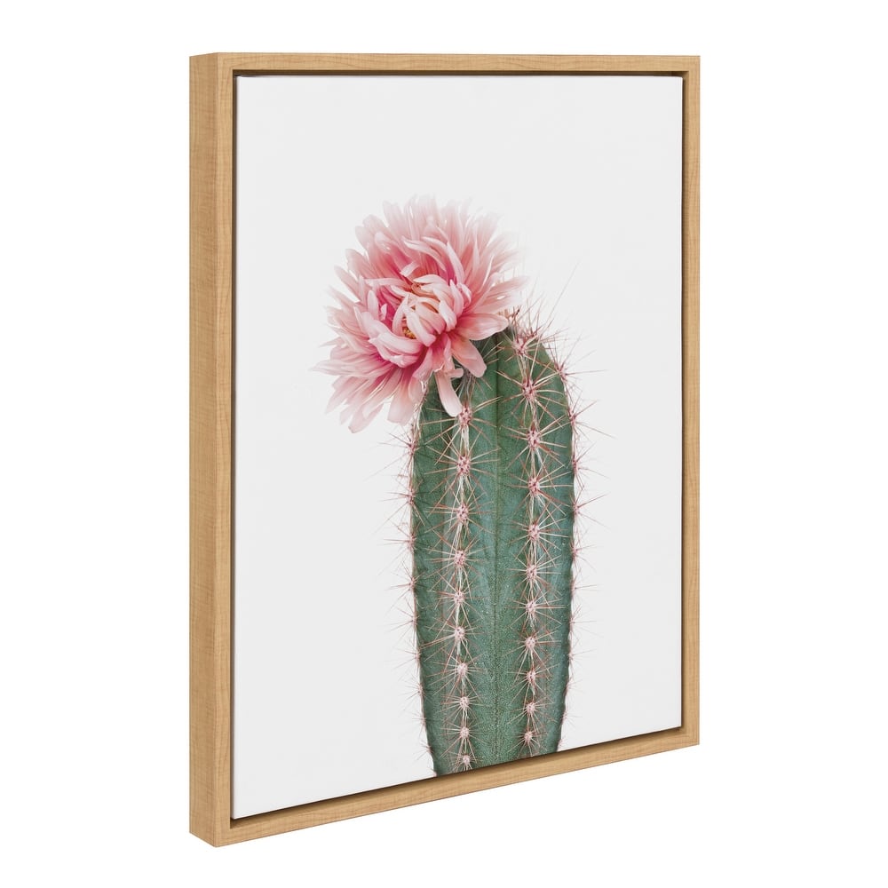 Kate and Laurel Sylvie Pink Cactus Flower Framed Canvas Wall Art