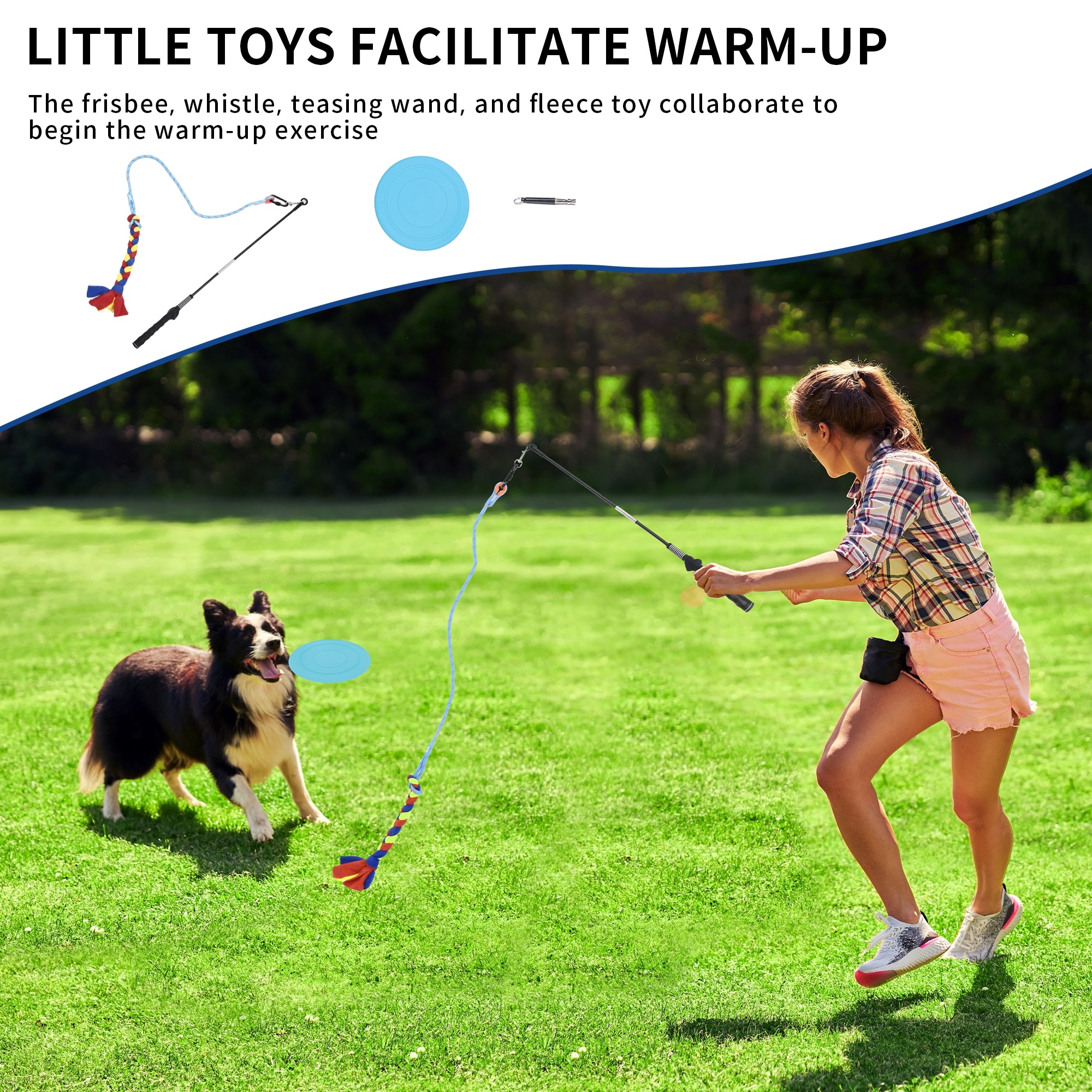 training dog with hand signals