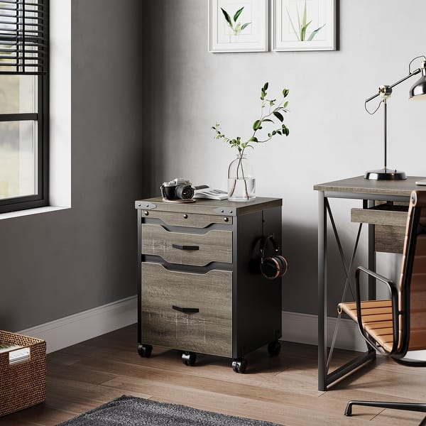 Large Vintage File 2Drawers Lateral File with Hook