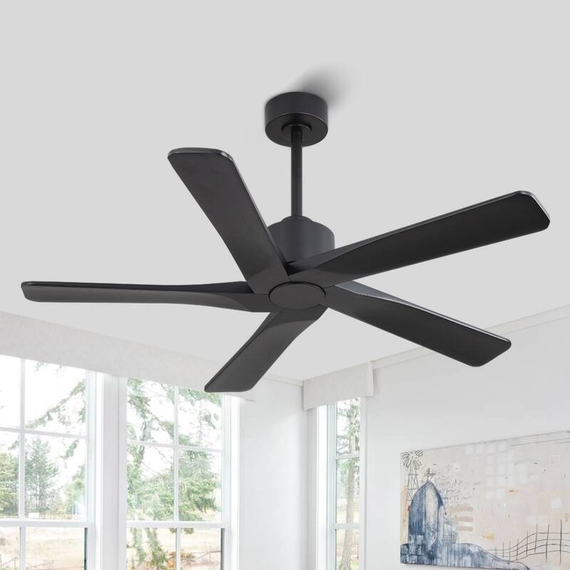 MLiAN 48in 5-Blade Indoor Ceiling Fan with Remote