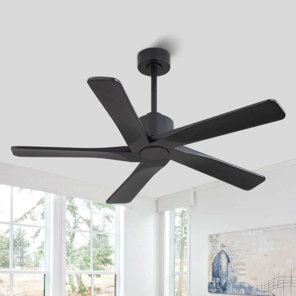 MLiAN 48in 5-Blade Indoor Ceiling Fan with Remote