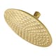 Option Brushed Brass