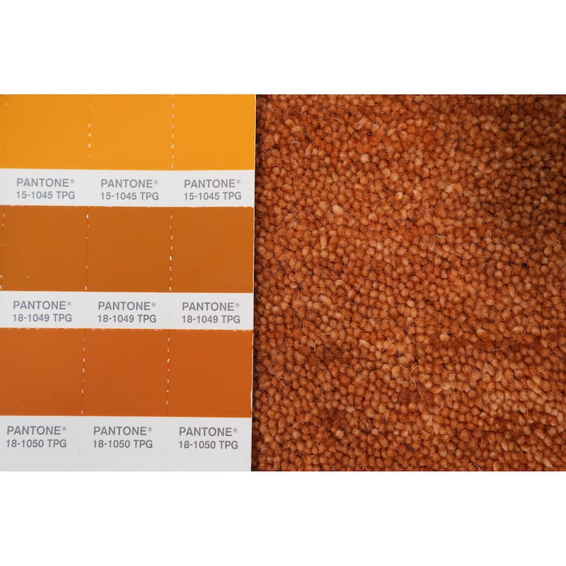 Hand Knotted Oriental 100% Wool Carpet Tribal Animal Pictorial Oranges & Rust Gabbeh Area Rug - 8' 11'' X 8' 11''