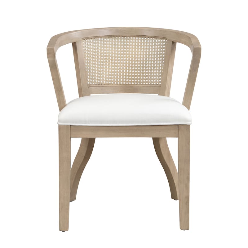 Currant Velvet and Cane Upholstered Dining Chairs by Christopher Knight Home- Set of 2