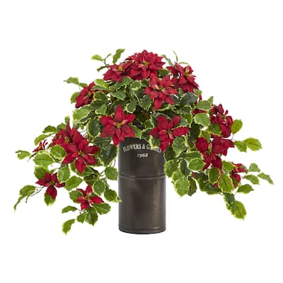 21" Poinsettia and Variegated Holly in Decorative er (Real Touch)