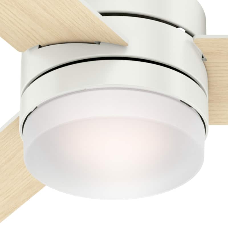 Hunter 54" Exeter Ceiling Fan with LED Light Kit and Remote Control