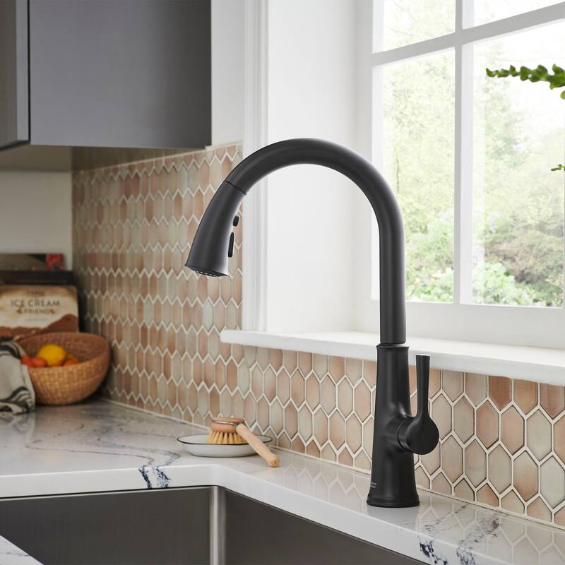 American Standard 9319.310 Renate 1.5 GPM Single Hole Pull Down