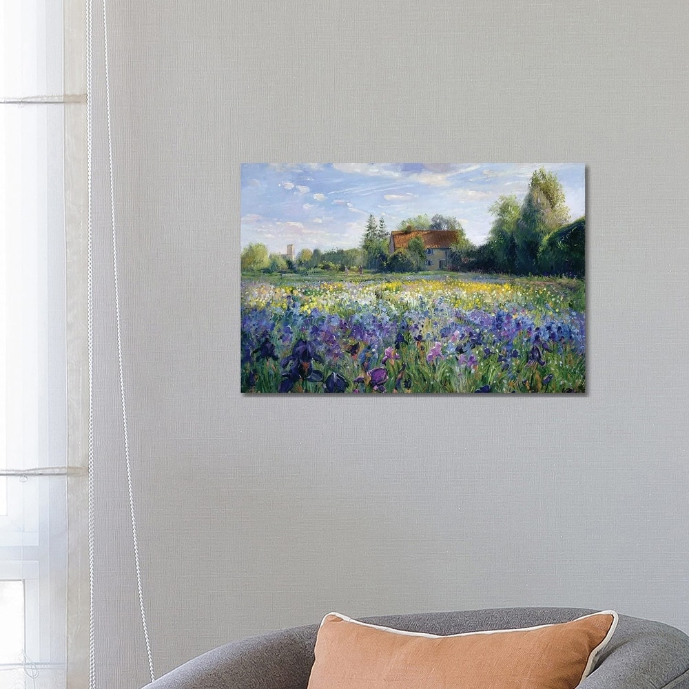 iCanvas "Evening At The Iris Field" by Timothy Easton Canvas Print