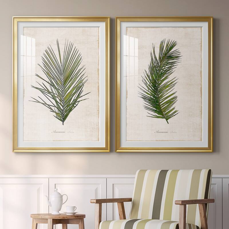 Palm Botanical I Premium Framed Print - Ready to Hang