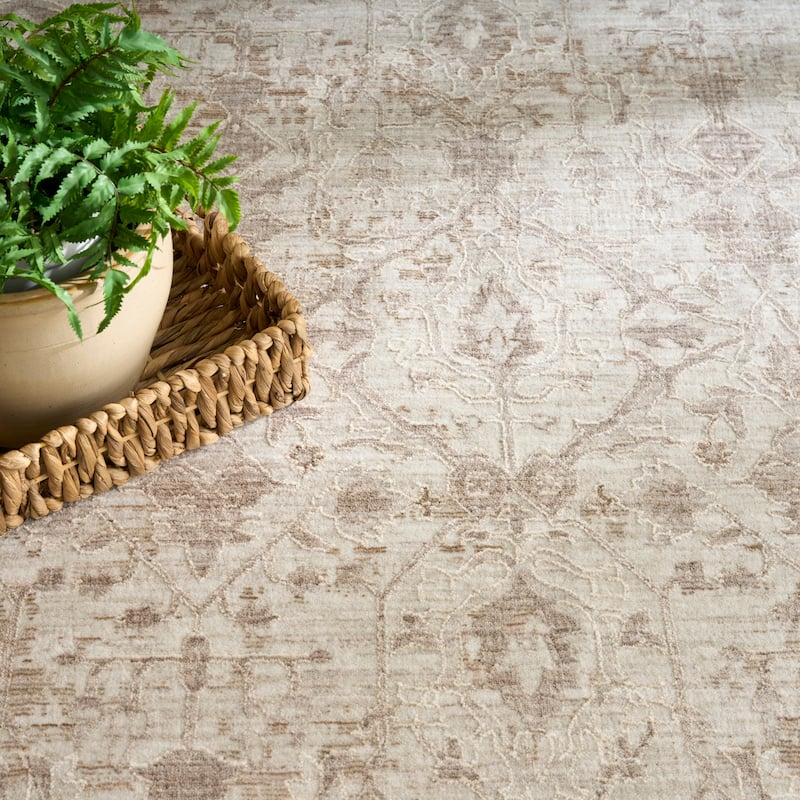 Nourison Shadows Indoor only Ivory Grey Persian Area Rug