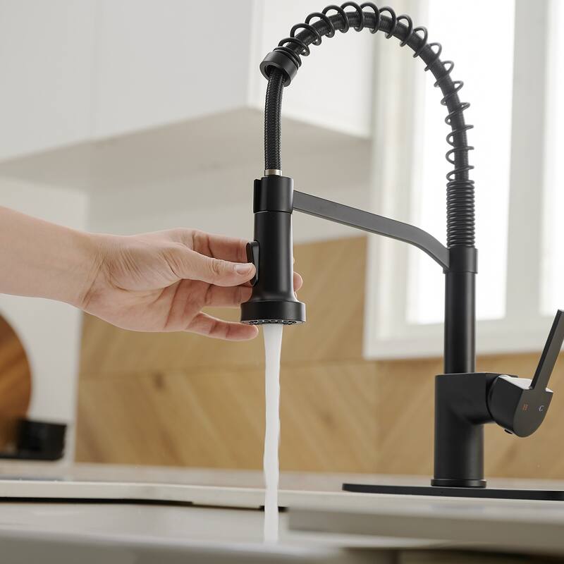 WIZ Pull-Down Sprayer 2 Spray High Arc Kitchen Faucet