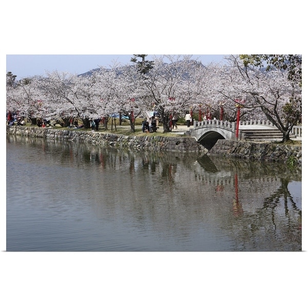 "Cherry Blossoms of Ogi Park, Ureshino, Saga, Japan" Poster Print