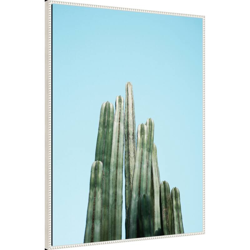Tall Cacti by Raisa Zwart Framed Canvas Wall Art Print - Sylvie Beaded White