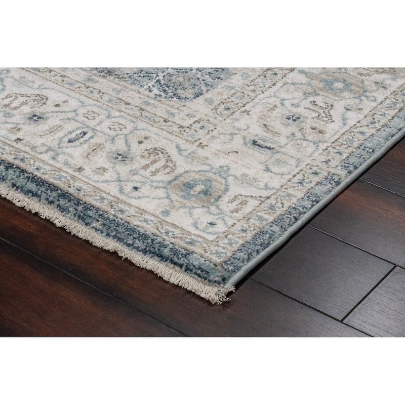 Dynamic Rugs Juno Transitional Area Rug