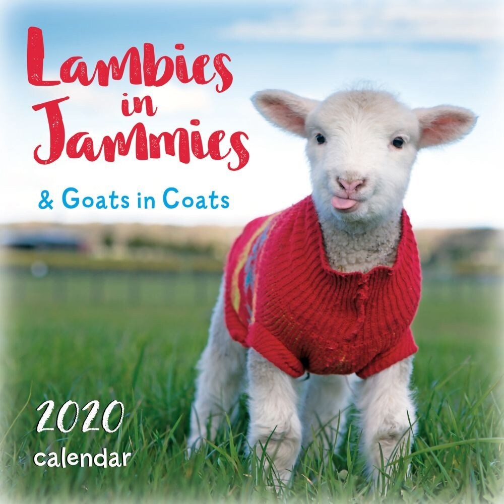 Shop Calendars Lambies In Jammies Goats In Coats Mini Wall Calendar With High Quality Paper Overstock 29018007