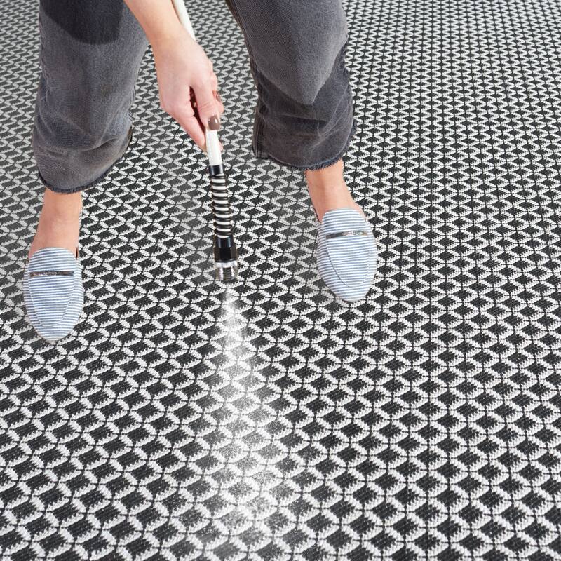 SAFAVIEH Terrace Ruba Indoor/Outdoor Washable Backyard Patio Rug