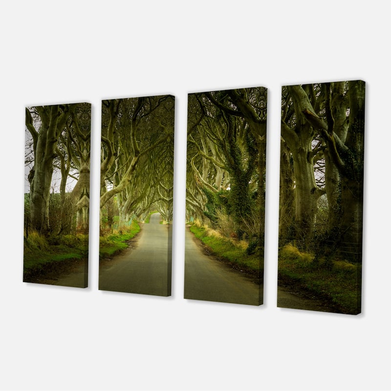 Designart "Dark Hedges Road through Old Trees" Landscape Wall Artwork Print on Canvas - 48 in. wide x 28 in. high - 4 Panels