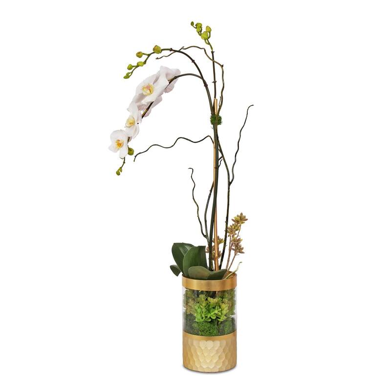 Silk Cream White Orchid Succulent Arrangement in Round Gold Glass Vase - 10W x 6.5D x 19H