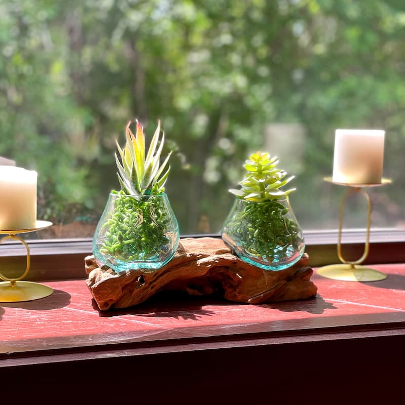 10.5" Double Molten Glass Bowls On Driftwood Hand Blown Planter