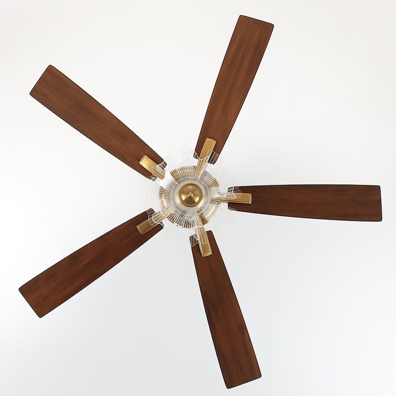 52" Modern Gold Acylic Flower Diammable Ceiling Fan with Light and Remote