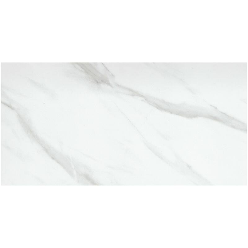 Emser Tile F19NOBL1224P Nobleza - 12" x 24" Floor and Wall Tile -