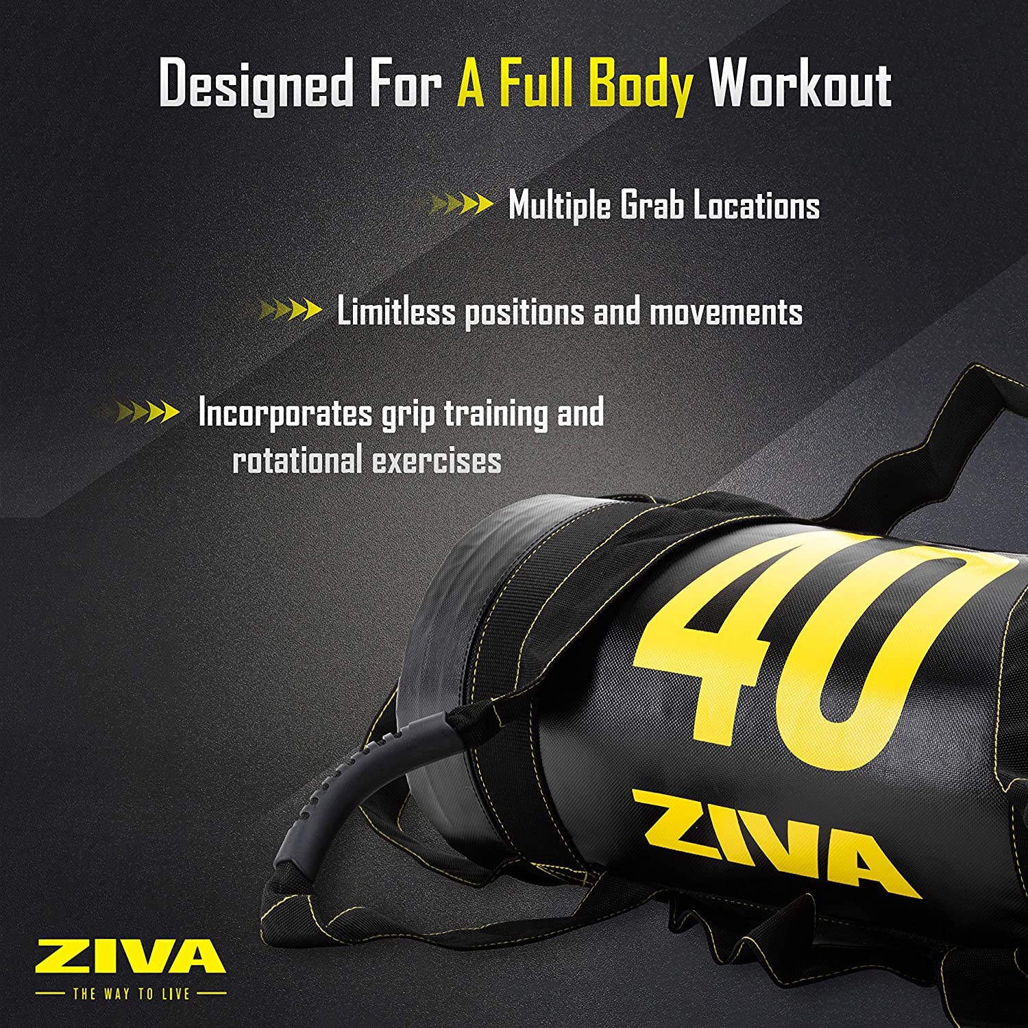 ZIVA 25 Pounds Commercial Grade High Performance Training Power