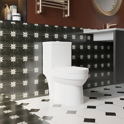 Dual Flush Bide Toilet