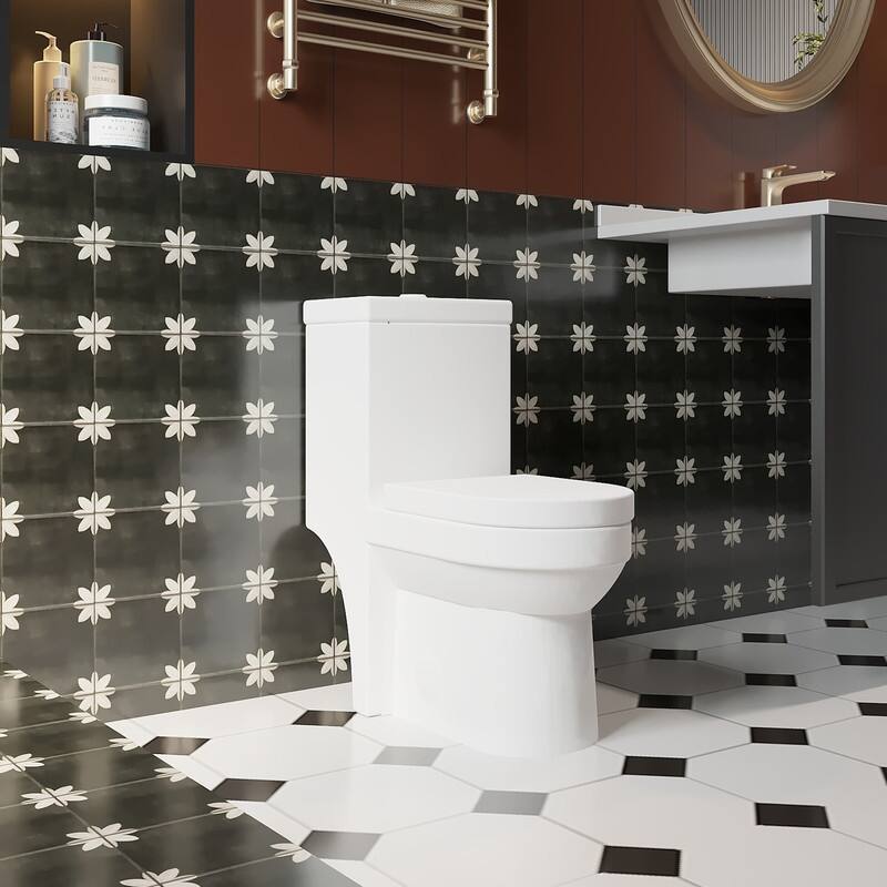 Dual Flush Bide Toilet