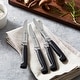 preview thumbnail 2 of 1, ZWILLING Four Star 4-pc Steak Knife Set - Stainless Steel