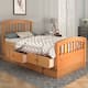 Option Oak