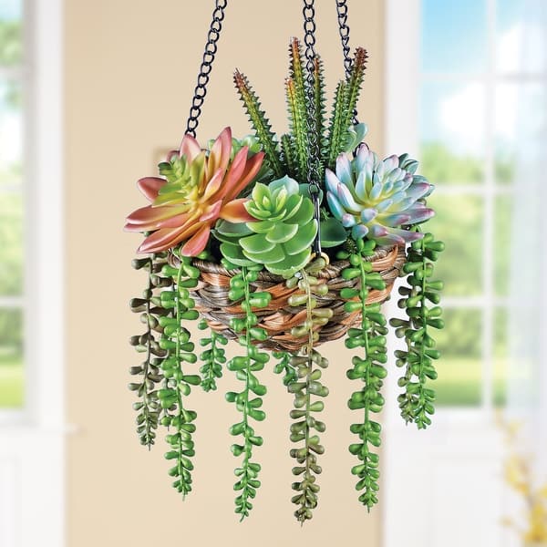 Hanging Colorful Fake Succulents in Rattan Basket - 6 x 20 x 6 - On Sale -  Bed Bath & Beyond - 42552593