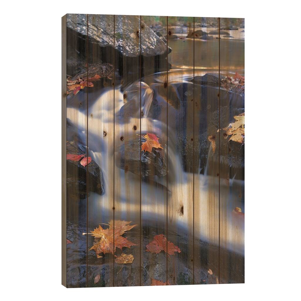 Autumn Leaves In Little River, Great Smoky Mountains National Park, Tennessee - Vertical Print On Wood by Tim Fitzharris