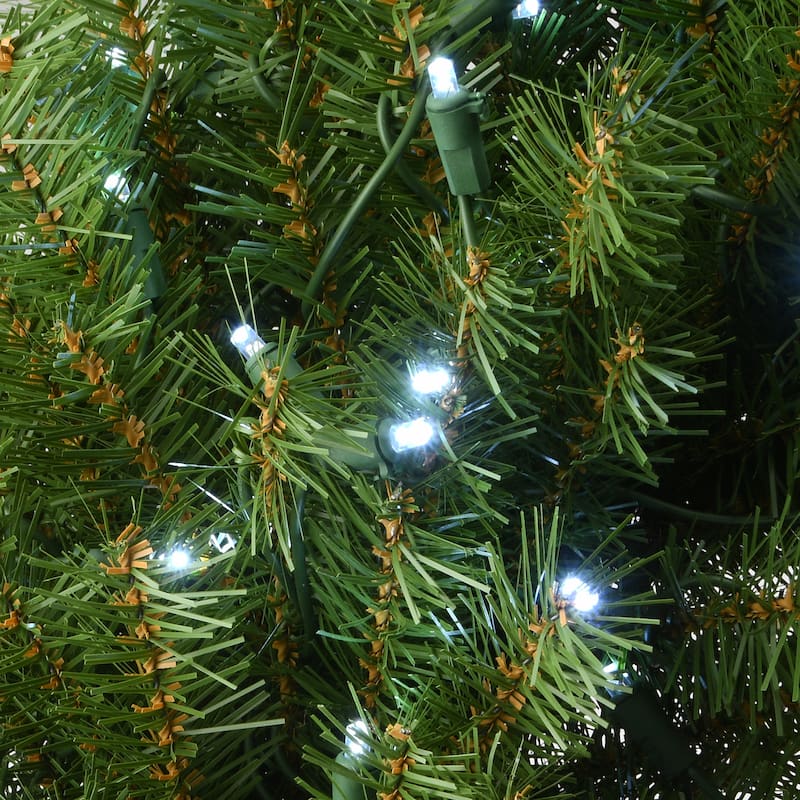 National Tree Company 30 in. Memory-Shape® Norwood Fir Wreath with White LED Lights - 30 in