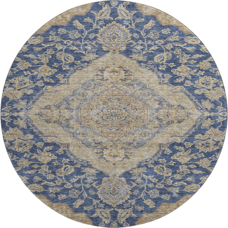 Premium Washable Super Soft Classic Traditional Mayfield Rug