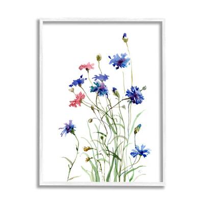 Stupell Wild Cornflowers Spring Bloom Watercolor Blue Pink Framed Wall Art