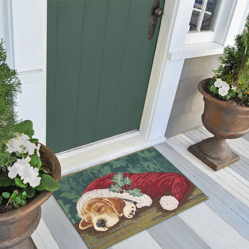 Liora Manne Esencia Nap In A Cap Indoor/Outdoor Mat - 2'5" x 3'11"