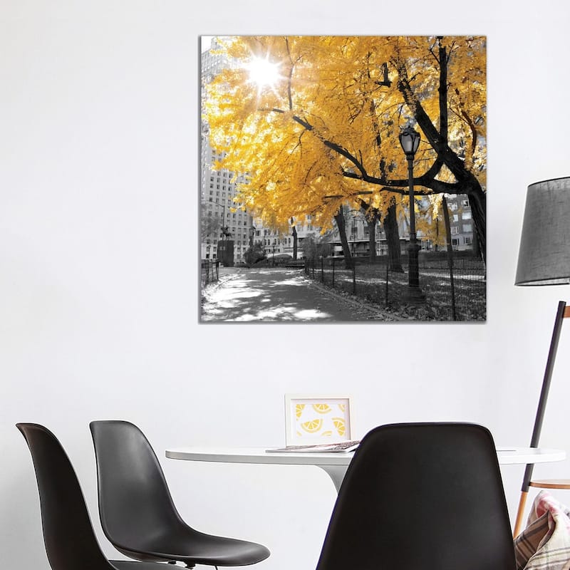 iCanvas "Park Pretty II" by Assaf Frank Canvas Print - 37x37x1.5