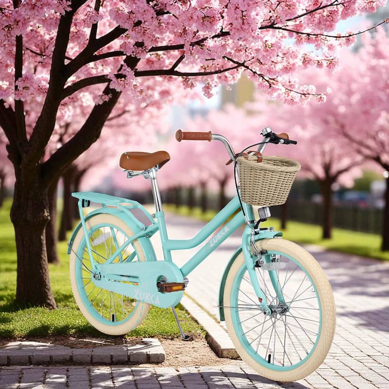 20 Inch Girls Bike with Basket, Single Speed Steel Frame, Front V-Brake & Rear Coaster Brake, Ages 7-10