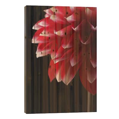 Red And White Dahlia Print On Wood by Alyson Fennell - Multi-Color