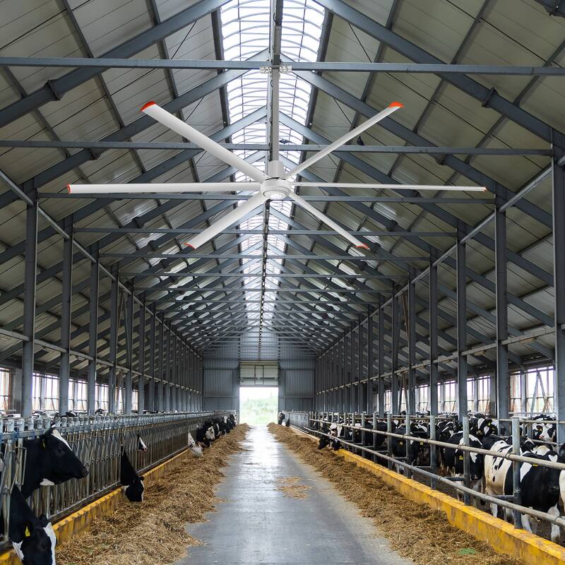 72"/84"/96"/120"/140" HVLS Industrial Ceiling Fan with 6/8 Aluminum Blades without Light